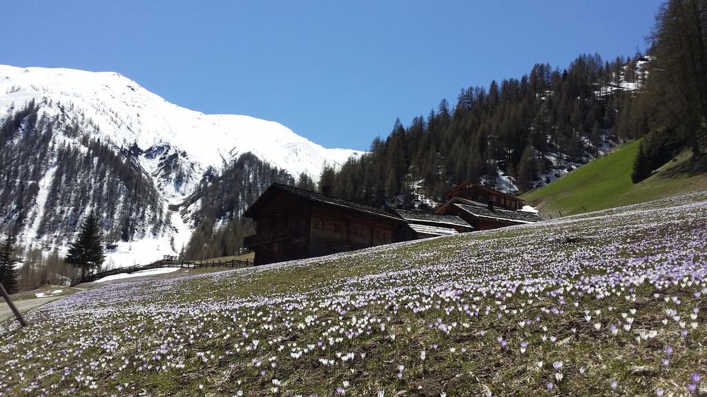 Giatla Hof Der Alfenalm - Ferienwohnungen Am Berg Innervillgraten Exterior photo